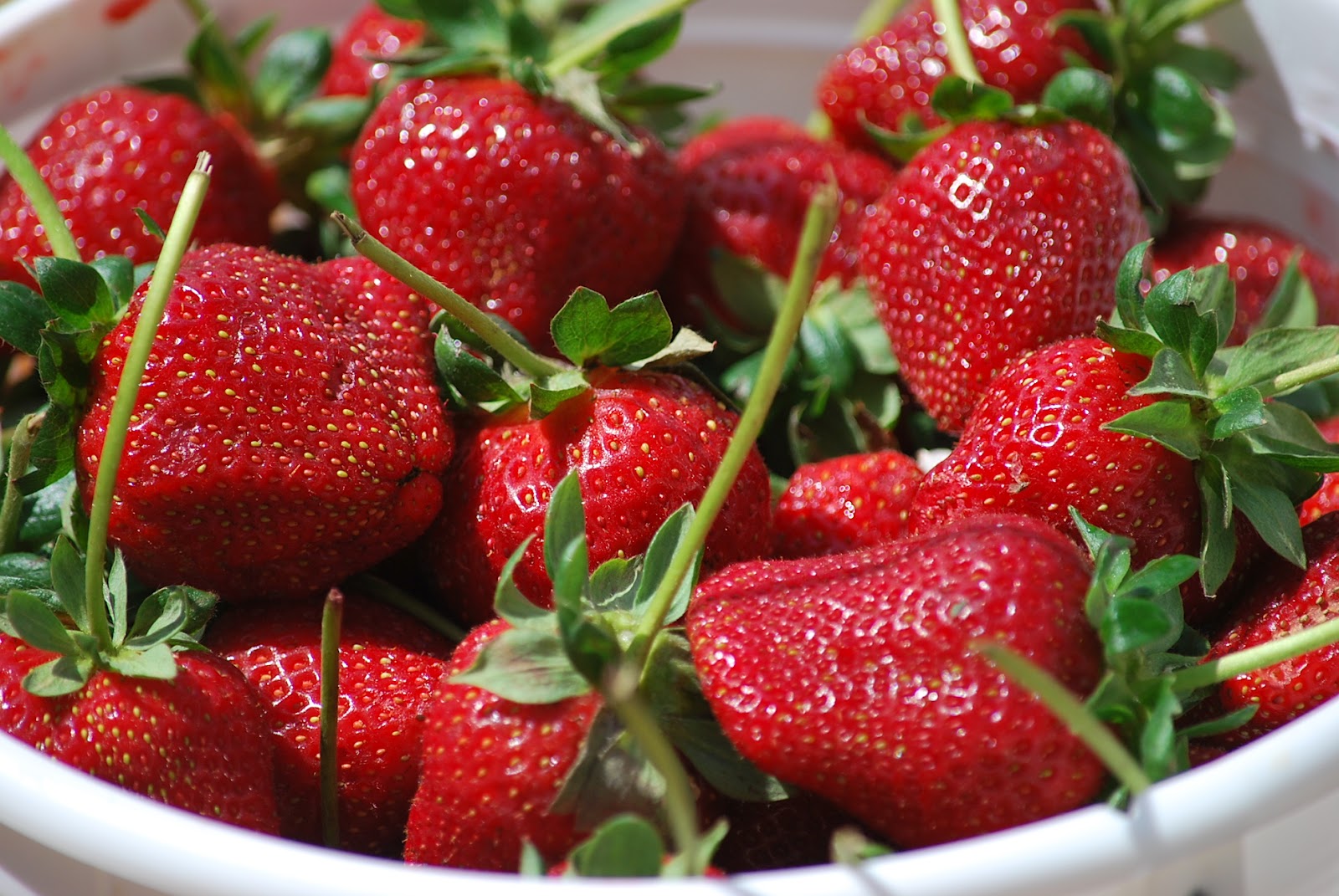 Strawbfest presents: The Great Strawberry Bonanza.